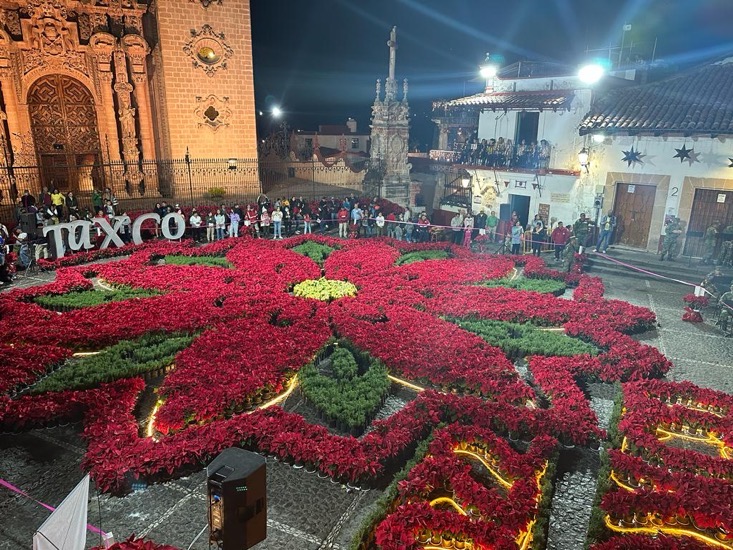 flor-noche-buena-taxco-diciembre.jpg flor-noche-buena-taxco-diciembre