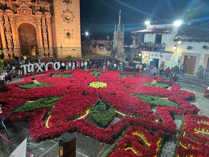 flor-noche-buena-taxco-diciembre.jpg flor-noche-buena-taxco-diciembre