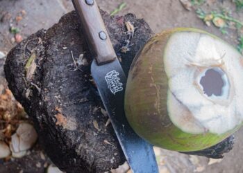Venta de coco, repuntó esta temporada vacacional en Zihuatanejo
