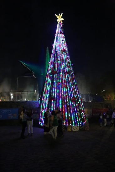 navidad-papagayo-acapulco-2022.jpg navidad-papagayo-acapulco-2022.jpg