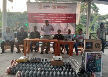 ¡Activistas de La Isla, “por primera vez” reciben apoyo para conservación de las tortugas