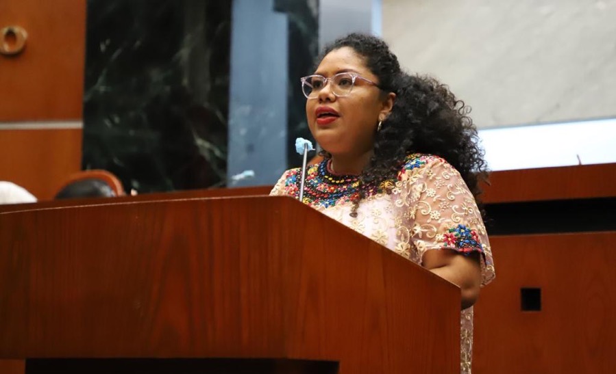 Afromexicanos-asuntos-dip-congreso.jpg