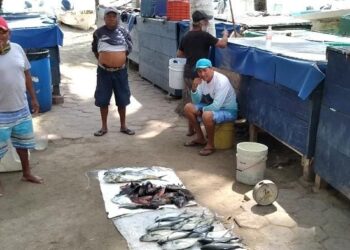 Incrementará a 7 mil 500 pesos, el apoyo de BIENPESCA