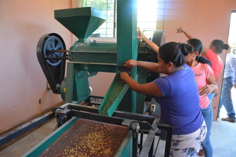 asesoria-productores-cafe-atoyac-gro-gob.jpg