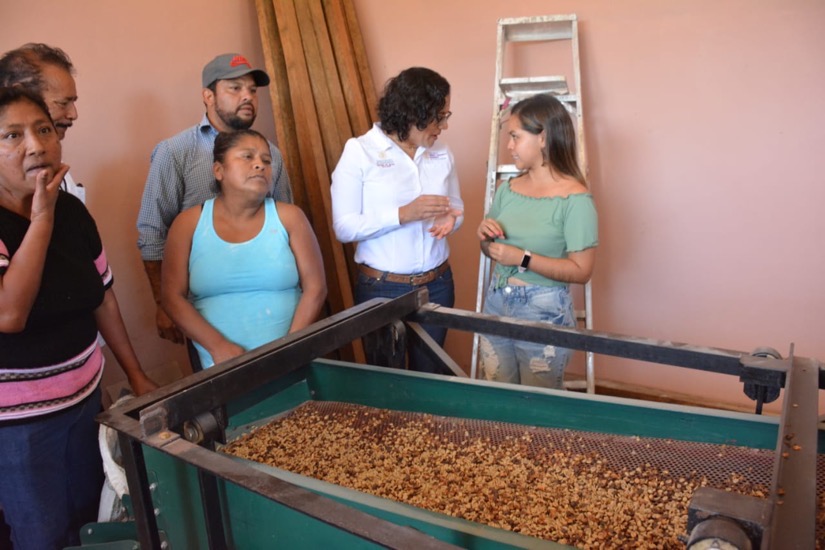 asesoria-productores-cafe-atoyac-gro-gob.jpg