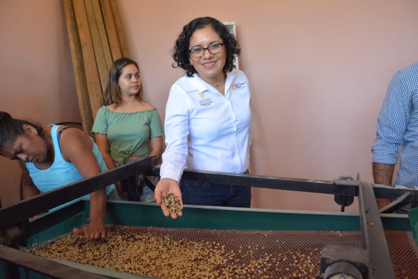 asesoria-productores-cafe-atoyac-gro-gob.jpg