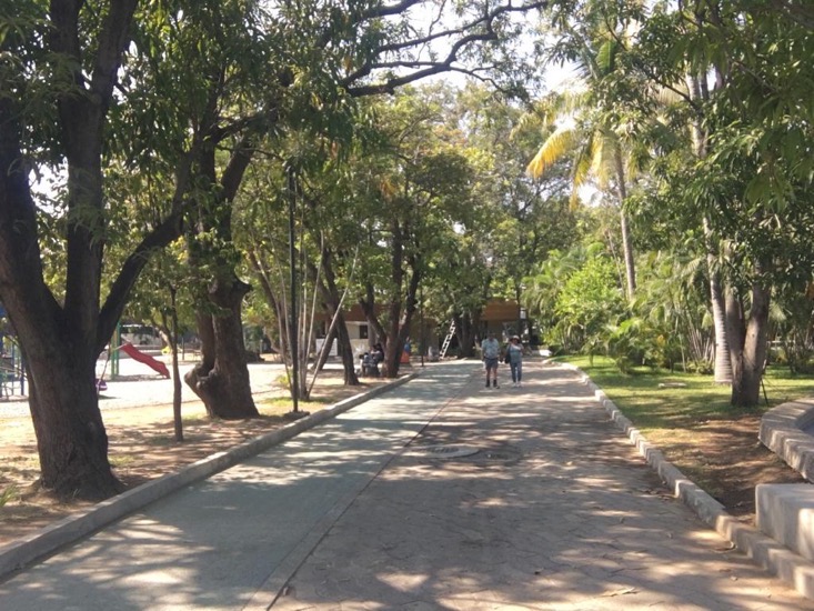 camaras-seguridad-papagayo-acapulco.jpg camaras-seguridad-papagayo-acapulco.jpg