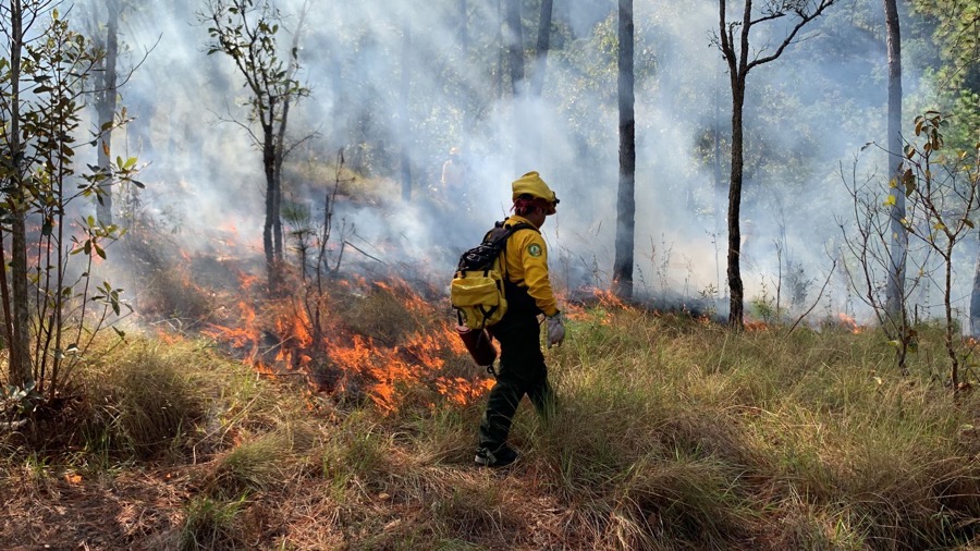 intensificar-acciones-incendios-guerrero-gob.jpg