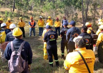 Gobierno del estado recomienda a municipios intensificar acciones para prevenir y atender incendios forestales