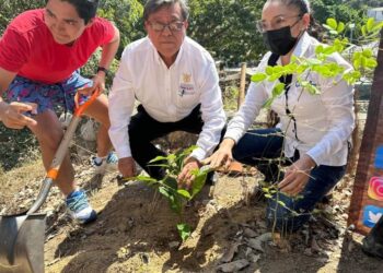 Conmemora la SEMAREN Guerrero el Día Mundial de la Educación Ambiental con plantación de árboles y foros