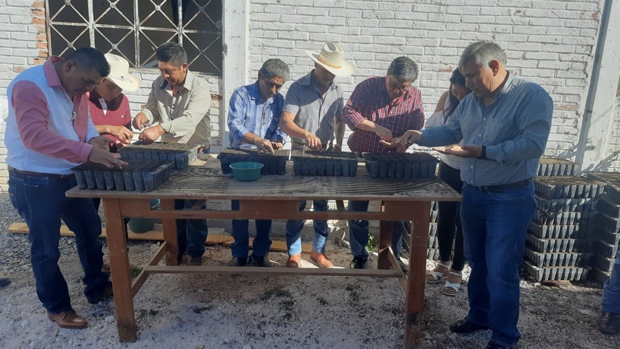 semaren-vivero-comunitario-gro_chilpancingo.jpg