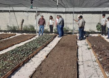 Inaugura la SEMAREN Guerrero vivero comunitario en el ejido de Amojileca, en Chilpancingo