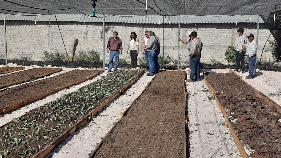 semaren-vivero-comunitario-gro_chilpancingo.jpg