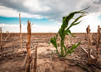 Se avecina complicada temporada de estiaje, aseguran campesinos