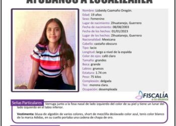 Desaparece joven mujer, vecina en Zihuatanejo