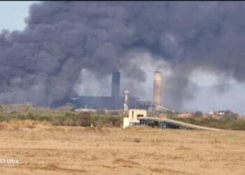 Se incendia patio de la termoeléctrica de Petacalco