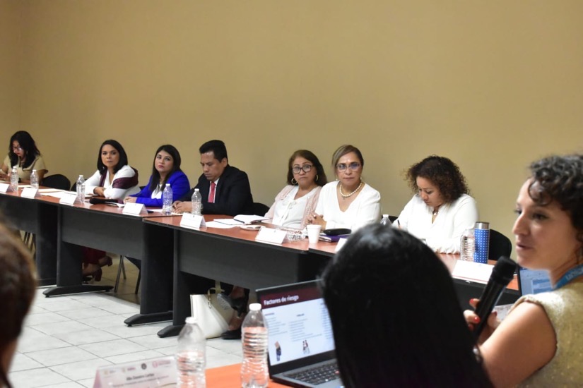 cema-beatriz-mojica-chilpancingo-comision.jpg