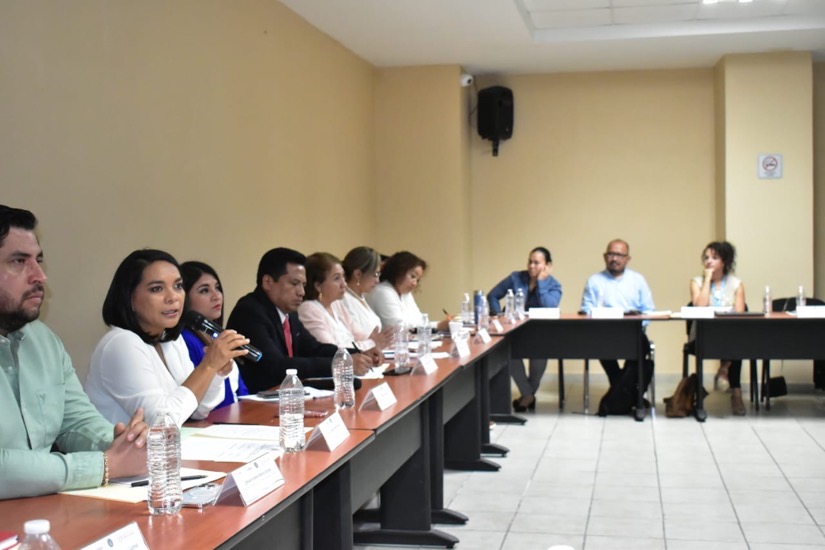 cema-beatriz-mojica-chilpancingo-comision.jpg
