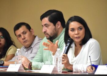 Proponen generar programa de acompañamiento para la reinserción de jóvenes que salen del CEMA