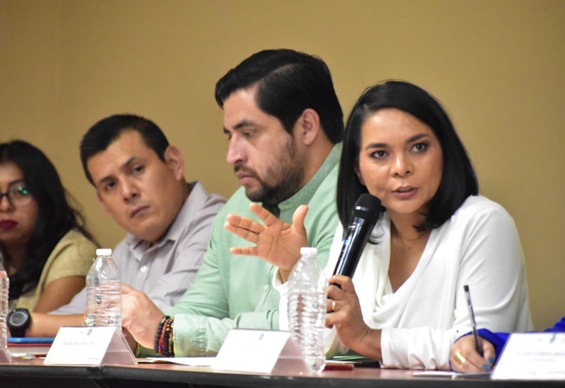 cema-beatriz-mojica-chilpancingo-comision.jpg
