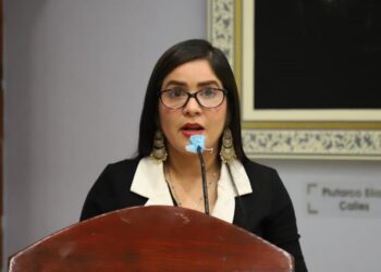 EXPRESAN DESDE EL CONGRESO UNA ENÉRGICA CONDENA POR EL ASESINATO DEL NIÑO BAYRON