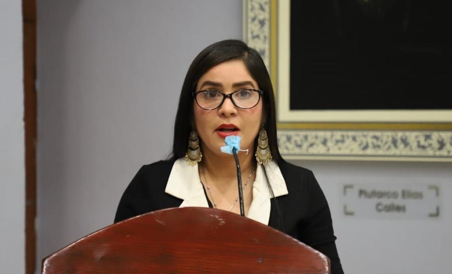 congreso-Yoloczin-condena-nino-bayron.jpg