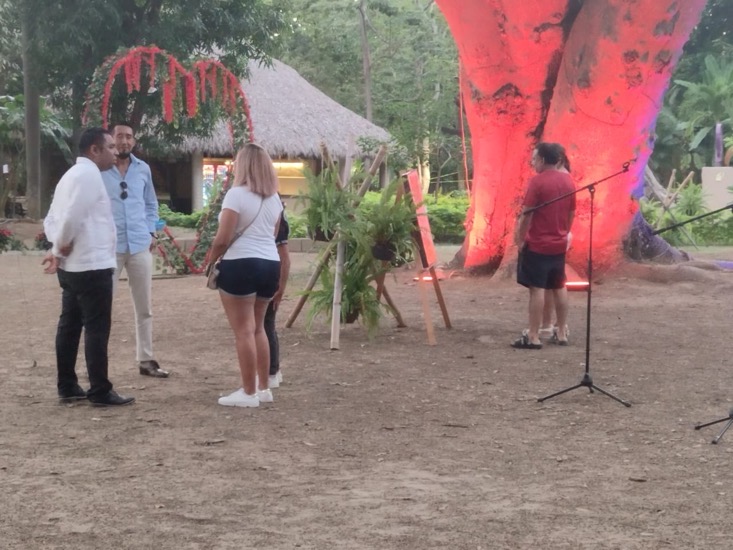 festival-cultura-parque-papagayo.jpg