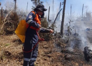 Gobierno del estado refuerza medidas preventivas para reducir incendios forestales