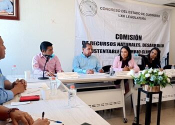 Comisión de Recursos Naturales del Congreso propone la limpieza del Río Balsas en conjunto con el gobierno estatal, federal, municipios aledaños, empresa minera Media Luna, y sociedad civil