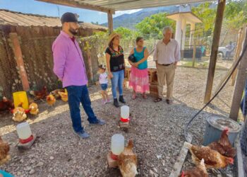 Habitantes de Vallecitos reciben mejoramiento de vivienda y proyectos productivos