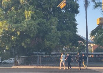 Han atendido a 30 mujeres víctimas de violencia en Zihuatanejo