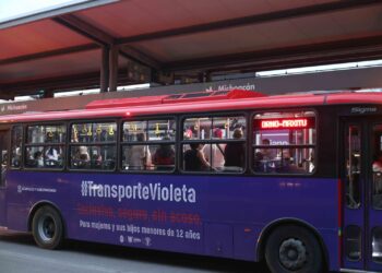 Transporte Violeta llegará a Zihuatanejo, después de superar fase piloto