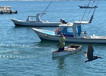 Hay buena pesca y esperan se mantenga para Semana Santa