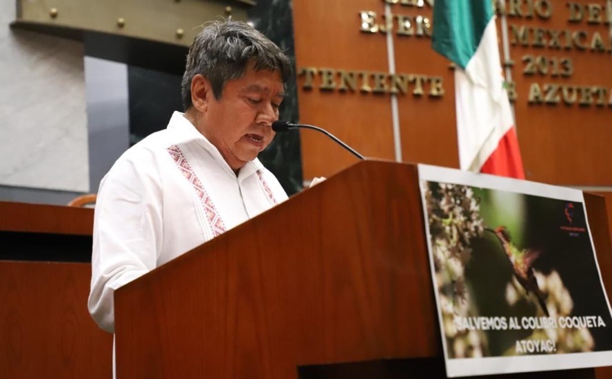fortunato_colibri-conservacion-congreso-gro_.jpg