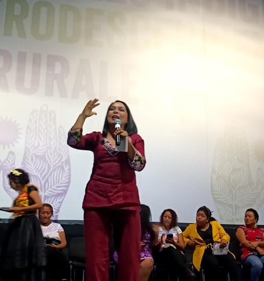 reinvindicar_afromexicanas-claudia-sheinbaim-guerrero.jpg reinvindicar_afromexicanas-claudia-sheinbaim-guerrero.jpg
