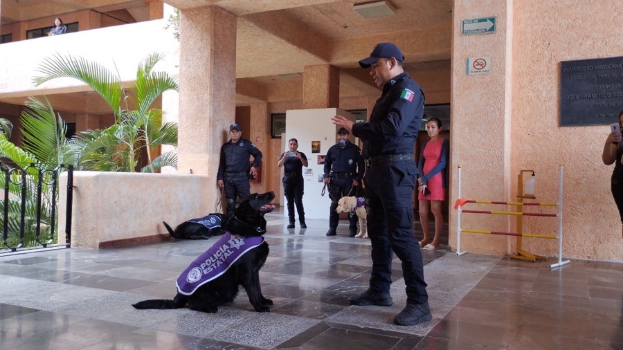 delitos-ciberneticos-ssp-acapulco-gob-gro.jpg