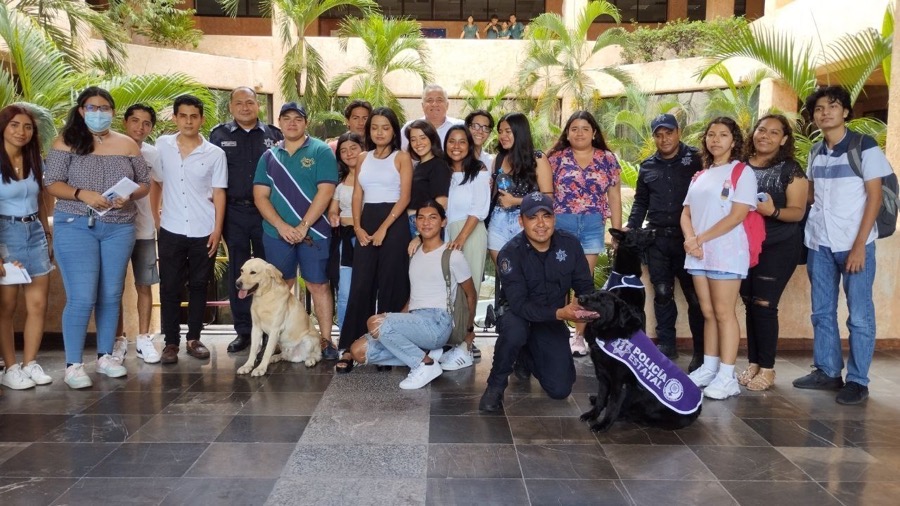 delitos-ciberneticos-ssp-acapulco-gob-gro.jpg