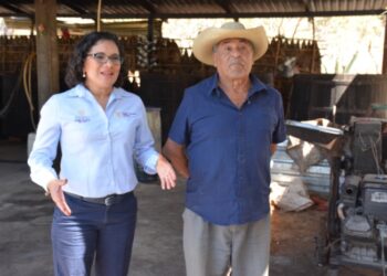 Destina Guerrero más de 2 millones de pesos en capacitación infraestructura, equipamiento y certificación del mezcal