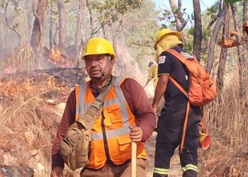 BRIGADISTAS DE LA SGIRPCGRO TRABAJAN EN LA SOFOCACIÓN DE UN INCENDIO FORESTAL A UN COSTADO DE LA AUTOPISTA DEL SOL
