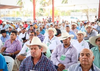 Capacitará Sagadegro a ganaderos para mejoramiento genético de ejemplares