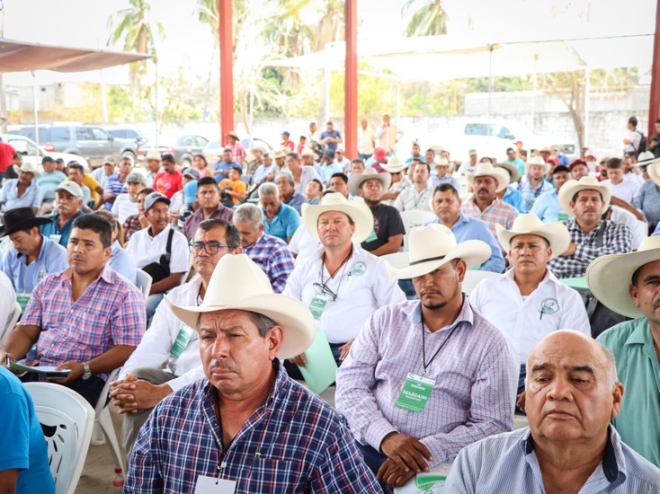 Sagadegro-mejoramientogenetico-gro_gob.jpg Sagadegro-mejoramientogenetico-gro_gob.jpg
