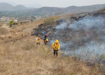 Refuerza Guerrero acciones para atender incendios forestales