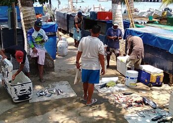 Alto oleaje da tregua a pescadores, capturan variedad de especies