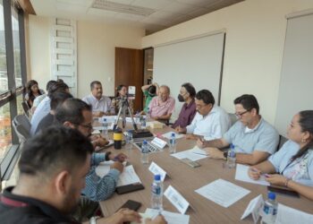 El Gobierno del estado atiende el problema ambiental en la termoeléctrica de Petacalco
