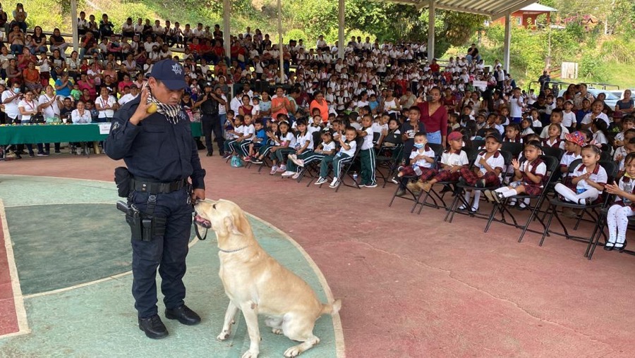 salud-mental-ninos-ninas-atoyac-guerrero-gob_.jpg