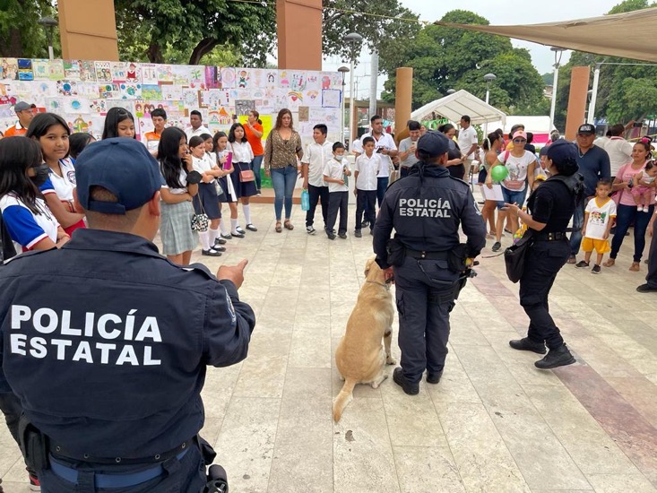 salud-mental_gob_gro_tecpan_ninez.jpg