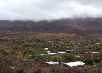 Llueve en Coahuayutla; campesinos podrán alimentar al ganado