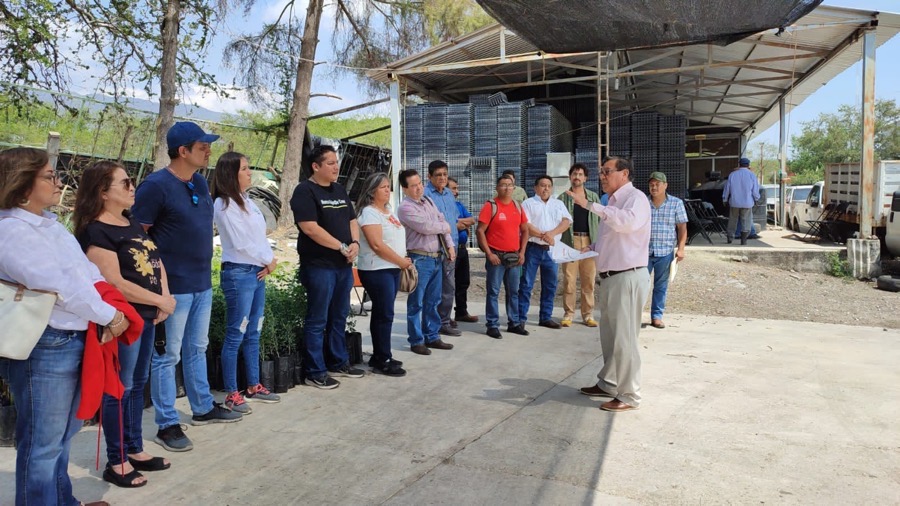 donacion-arboles-gob-guerrero_.jpg