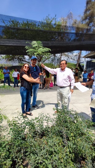 donacion-arboles-gob-guerrero_.jpg