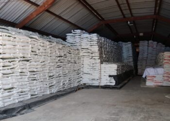 Entrega Gobierno de México casi el 60 por ciento de fertilizante gratuito en Guerrero